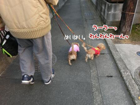 012_201312022119280c3.jpg