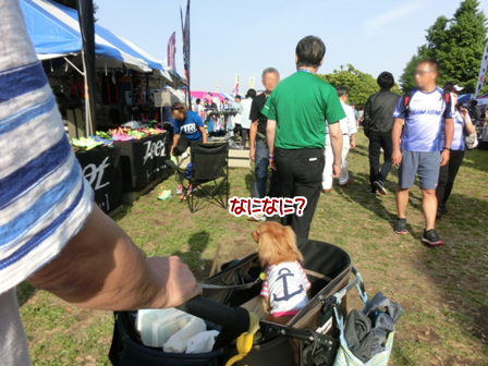 2016051509.jpg