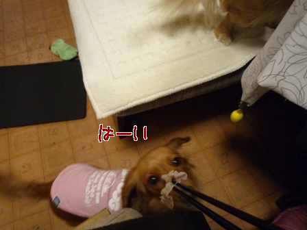 014_20120407003351.jpg