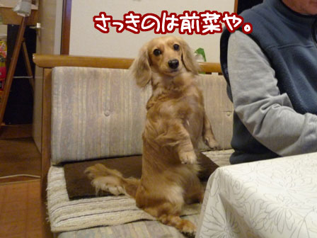 008_20120306223347.jpg