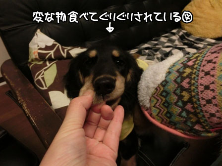 004_20131122235958c44.jpg
