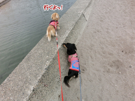 201602071.jpg
