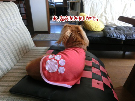 20151006002.jpg