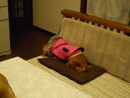 003_20111221234951.jpg