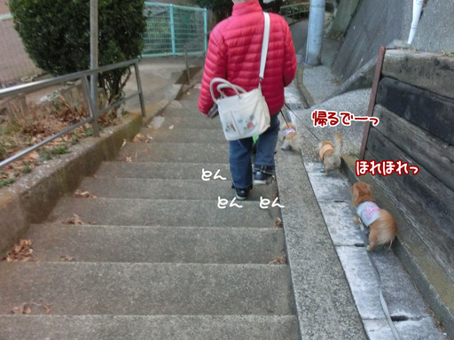 20170212-5