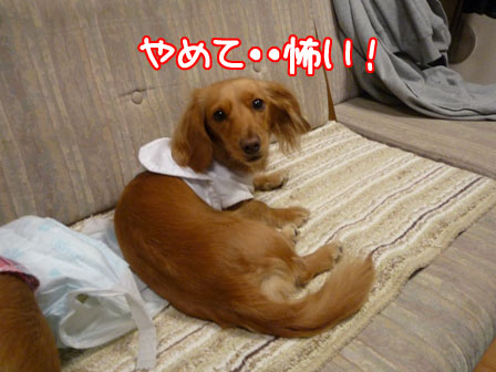 009_20110125224950.jpg