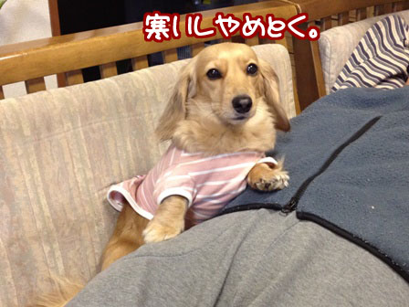 005_20120310224558.jpg