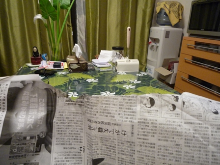 021_20101228233010.jpg