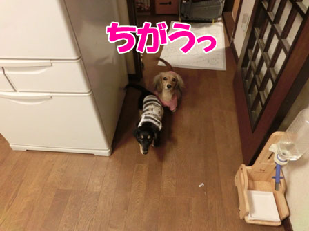 022_20130925230239c01.jpg