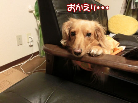002_20130720235306.jpg