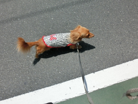 201606046.jpg