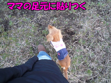 010_20110216231056.jpg