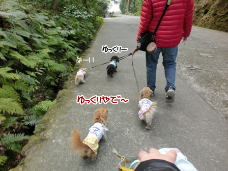 201602294.jpg