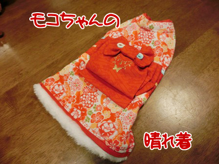 201512069.jpg