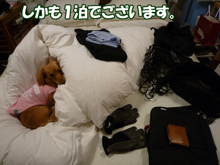 009_20101203233112.jpg