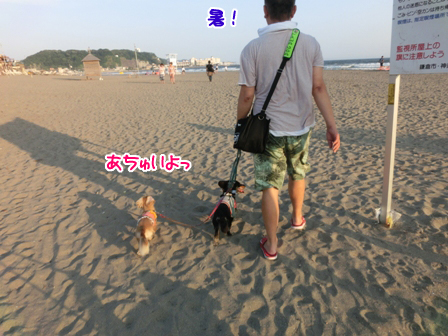 003_2014071423502423f.jpg