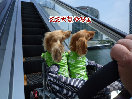 003_20120630235925.jpg