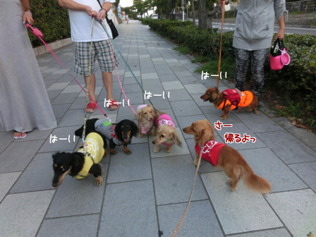 043_201408222353069cb.jpg