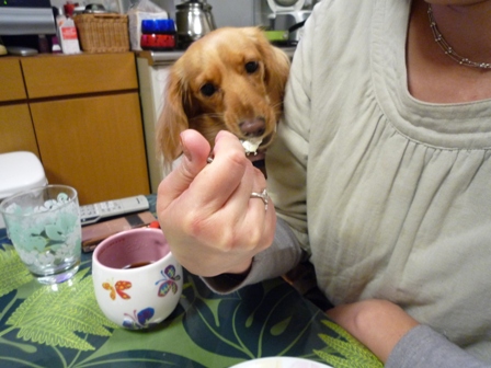 007_20101224233109.jpg