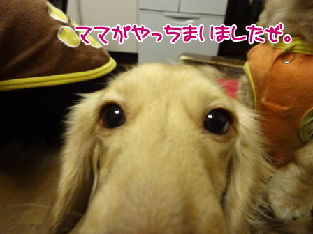 DSC00012.jpg