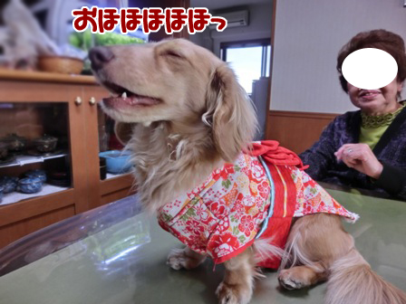 201601013.jpg