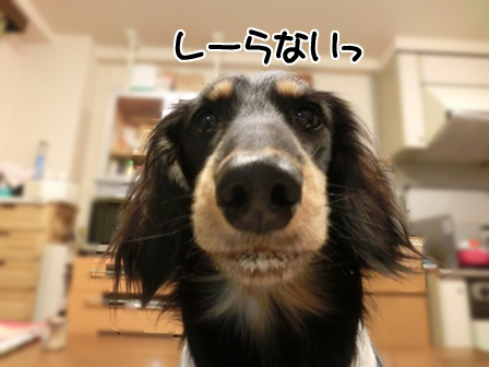 035_20150103223451911.jpg