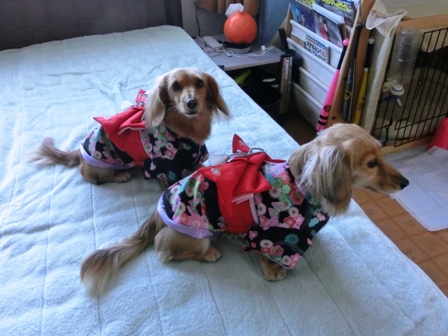 026_20130101223542.jpg