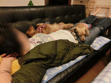 022_20130408225602.jpg