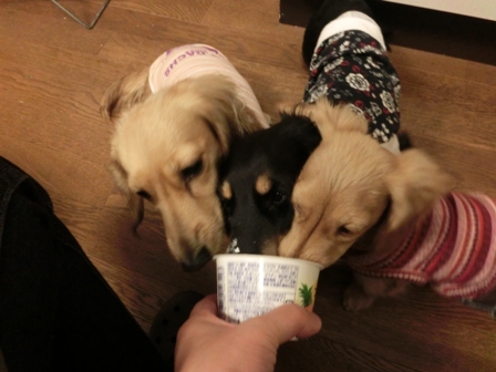 012_20131221001424094.jpg