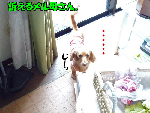409a9dd6.jpg
