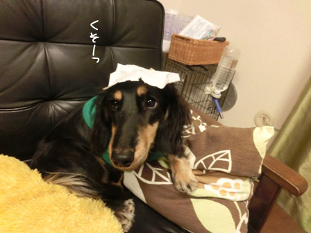 012_201411042353571e1.jpg