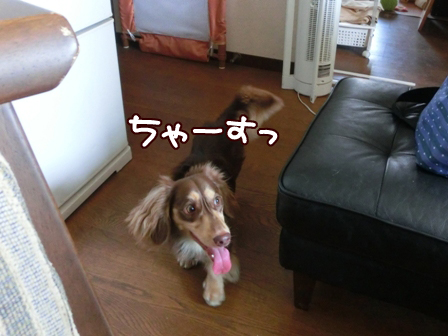 004_20140910234051657.jpg