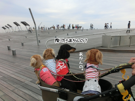 017_201409152358184fe.jpg