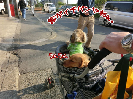 060_20130504234520.jpg