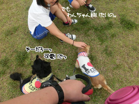 20150922035.jpg