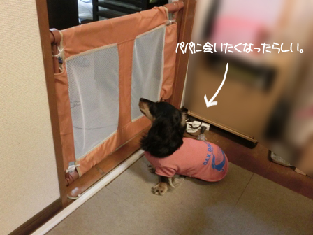 2016020514.jpg