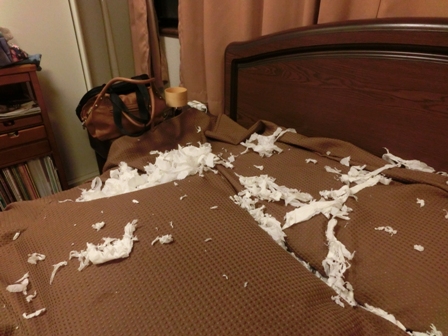 017_2014091622010056f.jpg