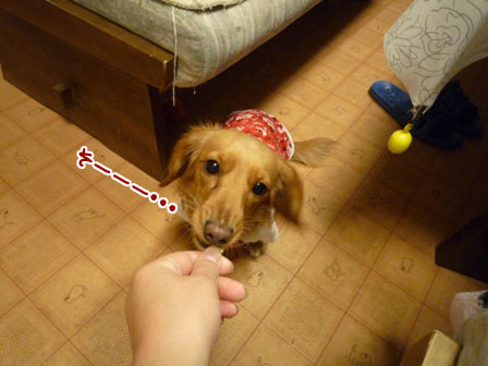 011_20111215233142.jpg