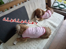 002_20120407231200.jpg