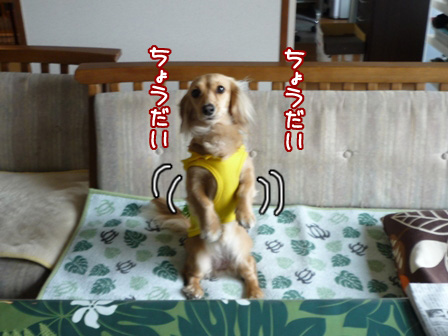 008_20110421230306.jpg