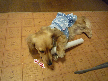 020_20120328231751.jpg