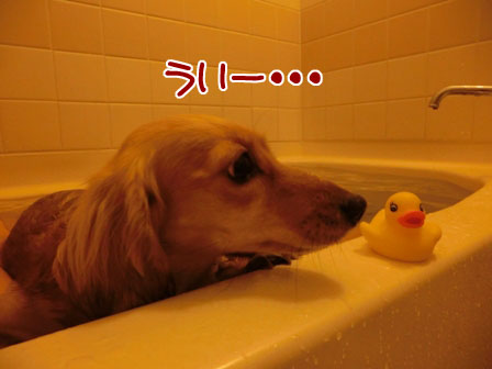 008_20130221232233.jpg