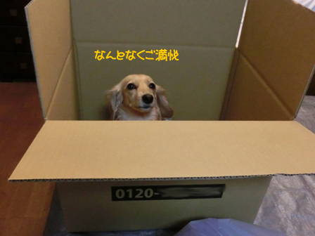 2011606032.jpg