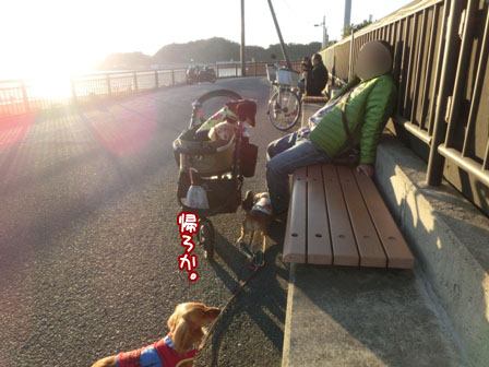 051_201312010019423d8.jpg