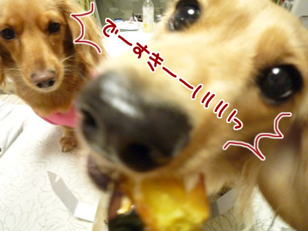 046_20111110234729.jpg