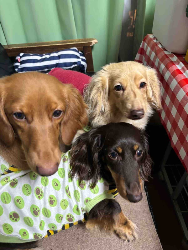 IMG_6351