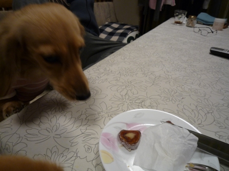 026_20120122004836.jpg