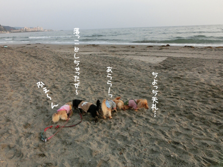 034_20140416235041fe9.jpg