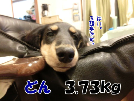 018_20131025230634565.jpg