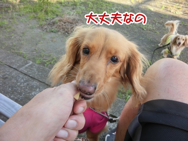 20180703don-5